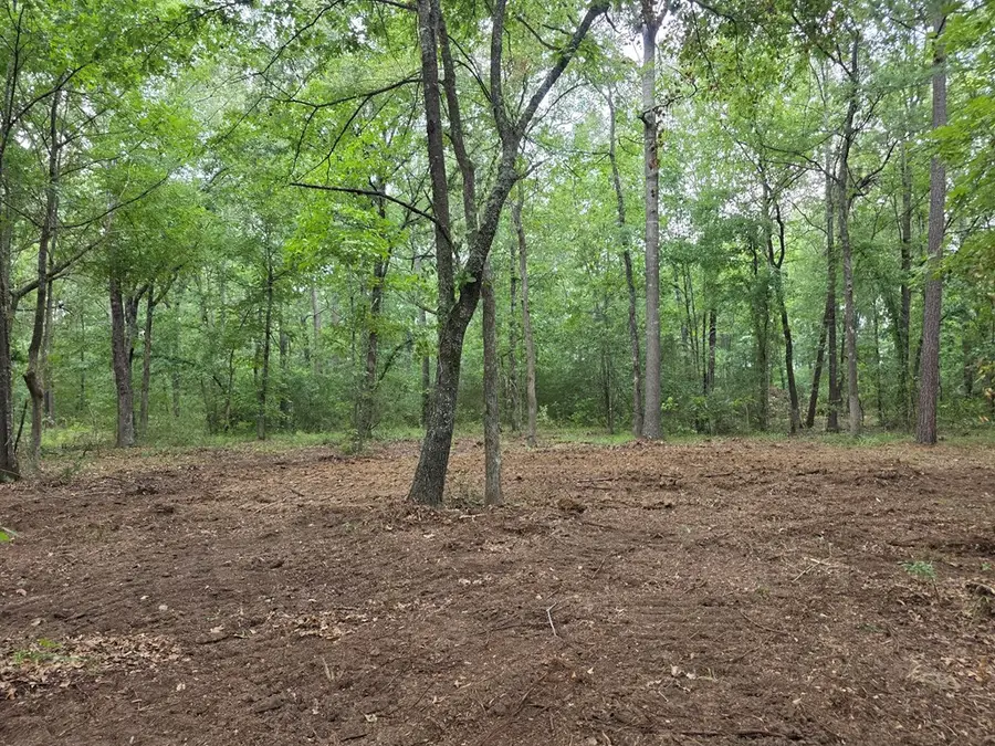 Lot 9 Blume Road, Alto, TX 75925 - #3
