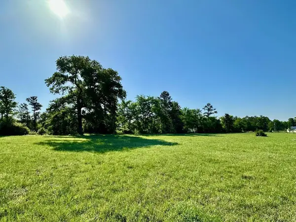 Tract 1 Sullivan Drive, Apple Springs, TX 75926