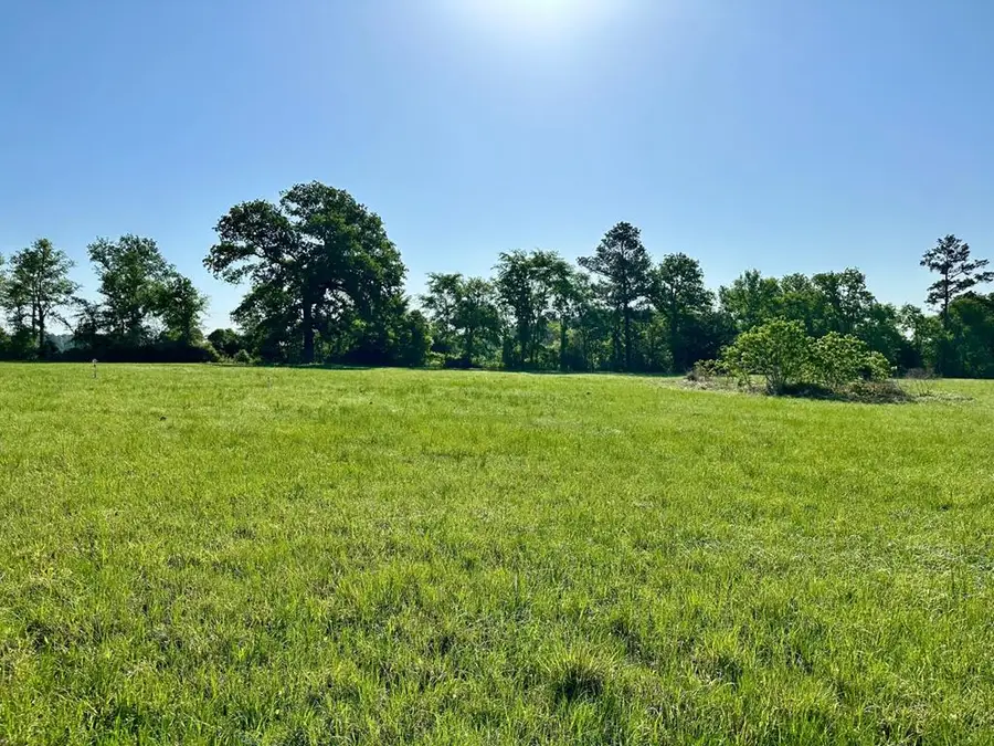 Tract 1 Sullivan Drive, Apple Springs, TX 75926 - #2