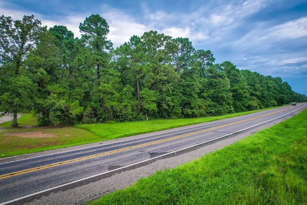4301 Sh 147, Zavalla, TX 75980 - #1