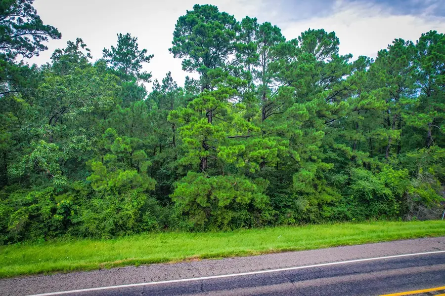 4301 Sh 147, Zavalla, TX 75980 - #3