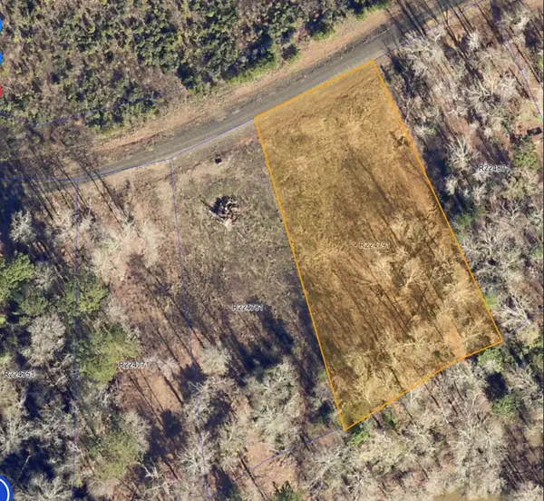 321 Old Tejas Trail West, Hemphill, TX 75948