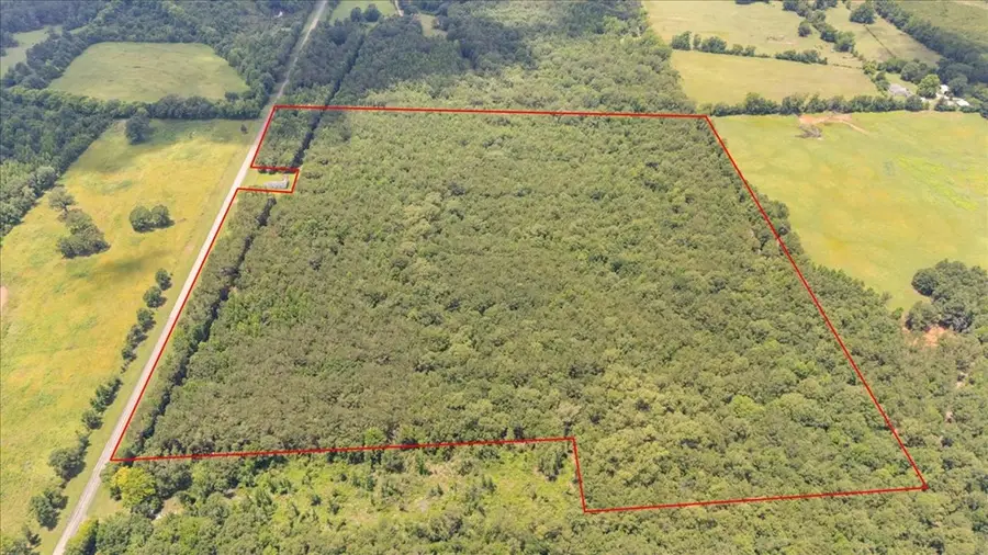 50.795 ac Fm 2496, Mount Enterprise, TX 75681 - #2