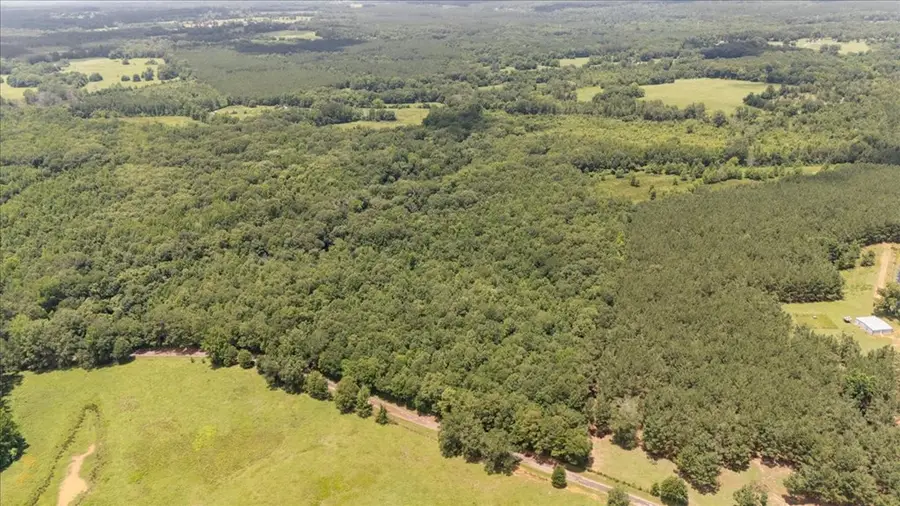 38.110 ac Cr 3206, Mount Enterprise, TX 75681 - #2