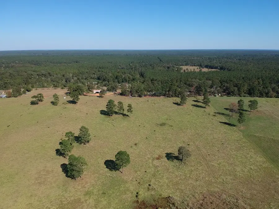 Lot 252 Lakeland Ranch, Hillister, TX 77624 - #3