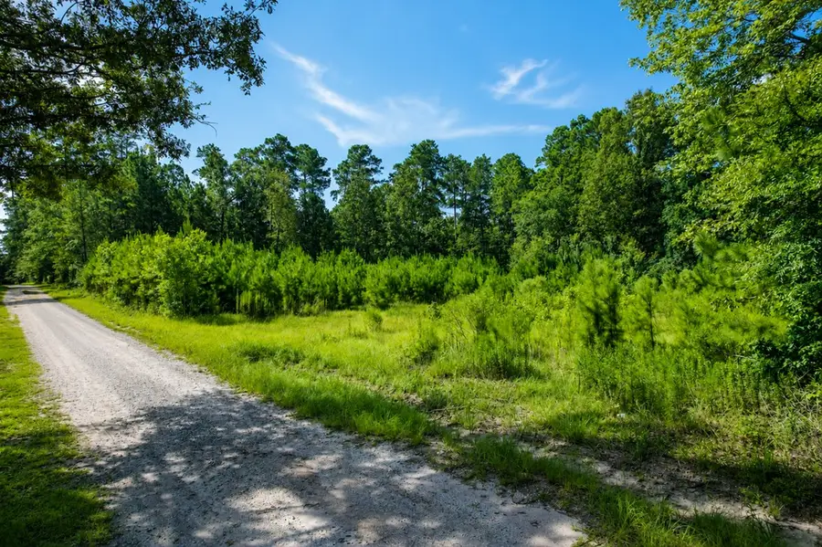 PID 54896 Louis Street, Zavalla, TX 75980 - #2