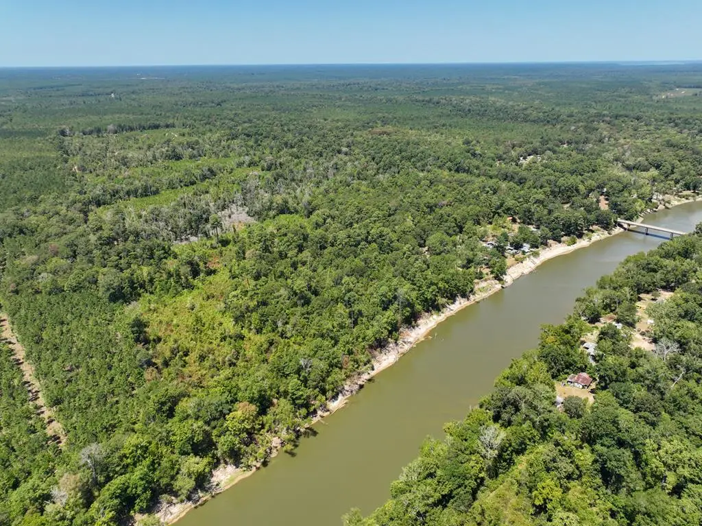 18477 Fm 1013, Spurger, TX 77660 - #1