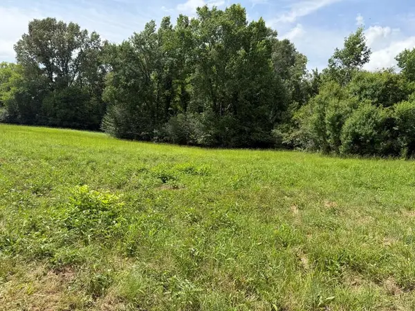 ID # 16589 Cr 4425, TIMPSON, TX 75975
