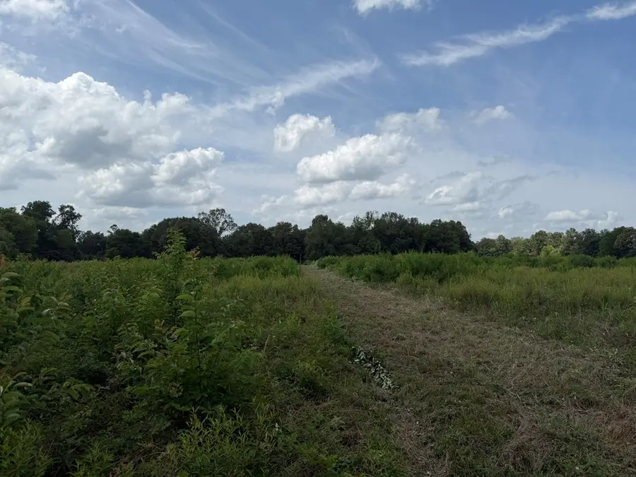 ID # 16589 Cr 4425, Timpson, TX 75975 - #3
