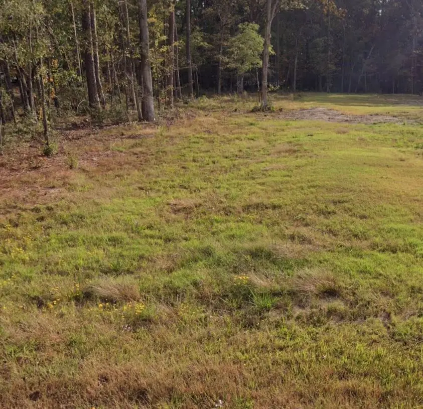 293 School Craft Road, Lufkin, TX 75901 - #2