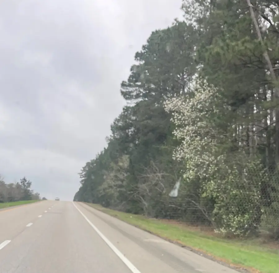 Address Withheld By Seller, Jasper, TX 75951 - #2