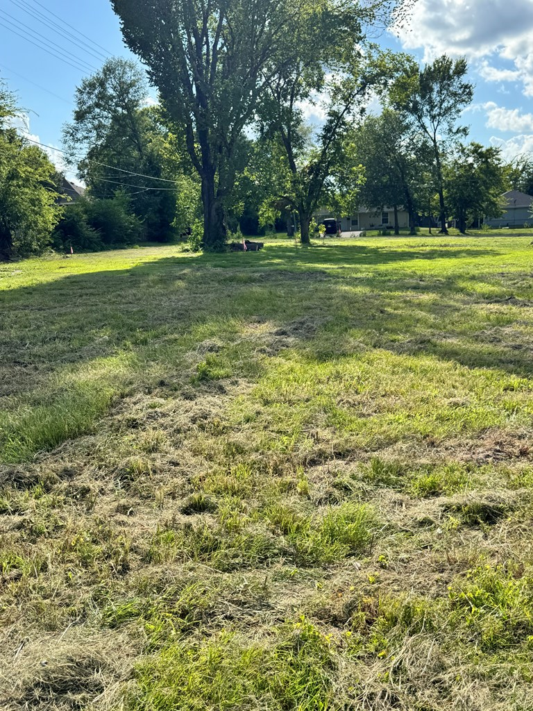 805 & 304 Chestnut, Lufkin, TX 75901 - #3
