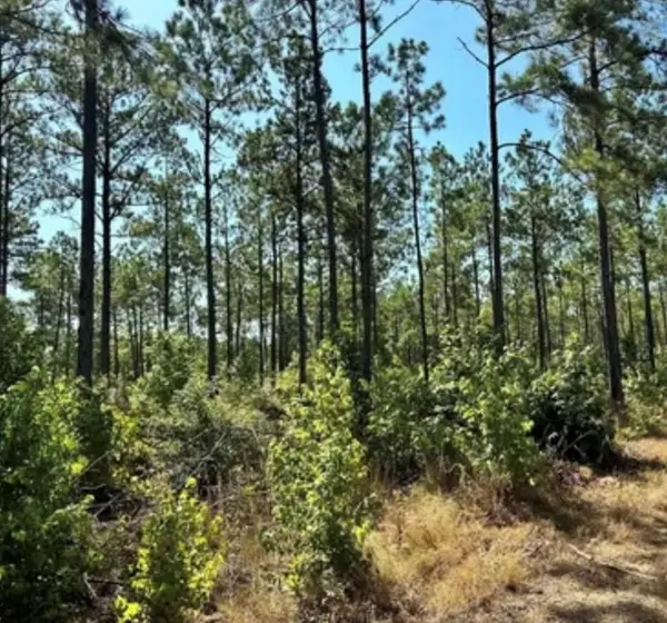 3245 Cr 1095, Center, TX 75935