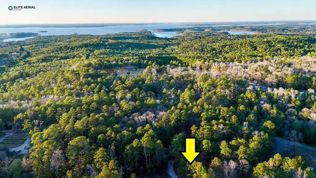 136 Ashcreek Lane, Brookeland, TX 75931 - #1
