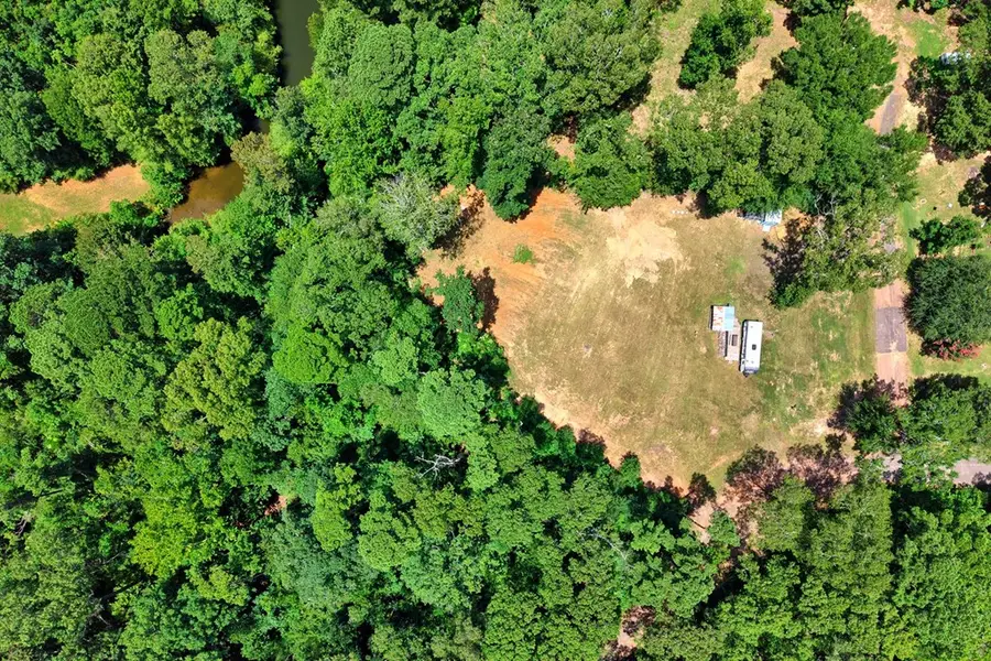 254 Jim Bowie Drive, Hemphill, TX 75948 - #2