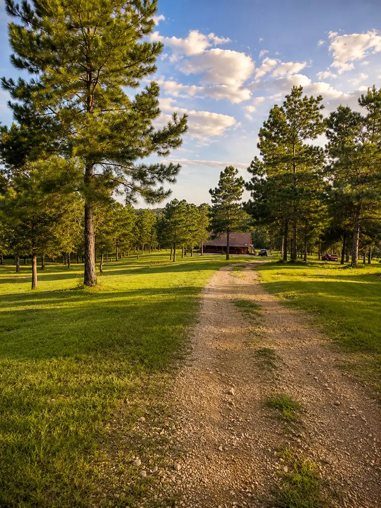615 County Road 1522, Rusk, TX 75785 - #2