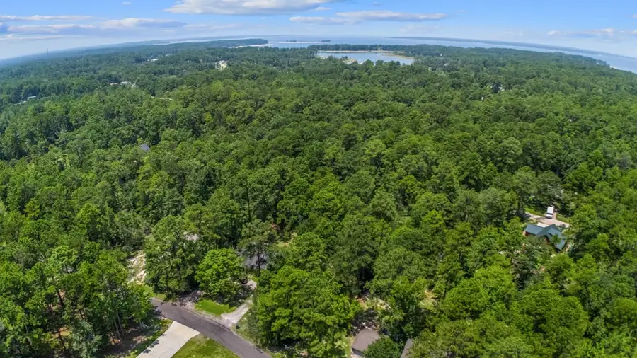 435 Pinehurst Drive, Brookeland, TX 75931 - #3