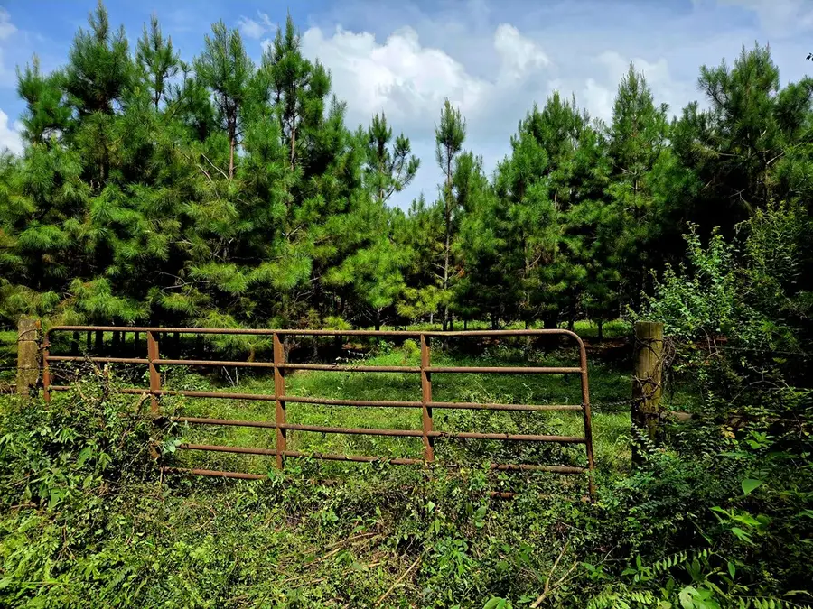 TBD County Road 4816, Timpson, TX 75975 - #2