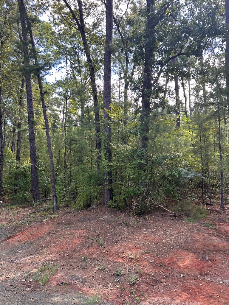 194 Cr 415, Bronson, TX 75930 - #1