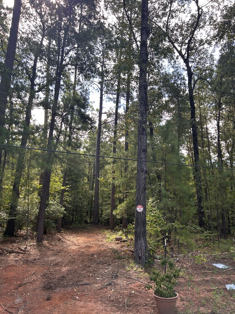 194 Cr 415, Bronson, TX 75930 - #2