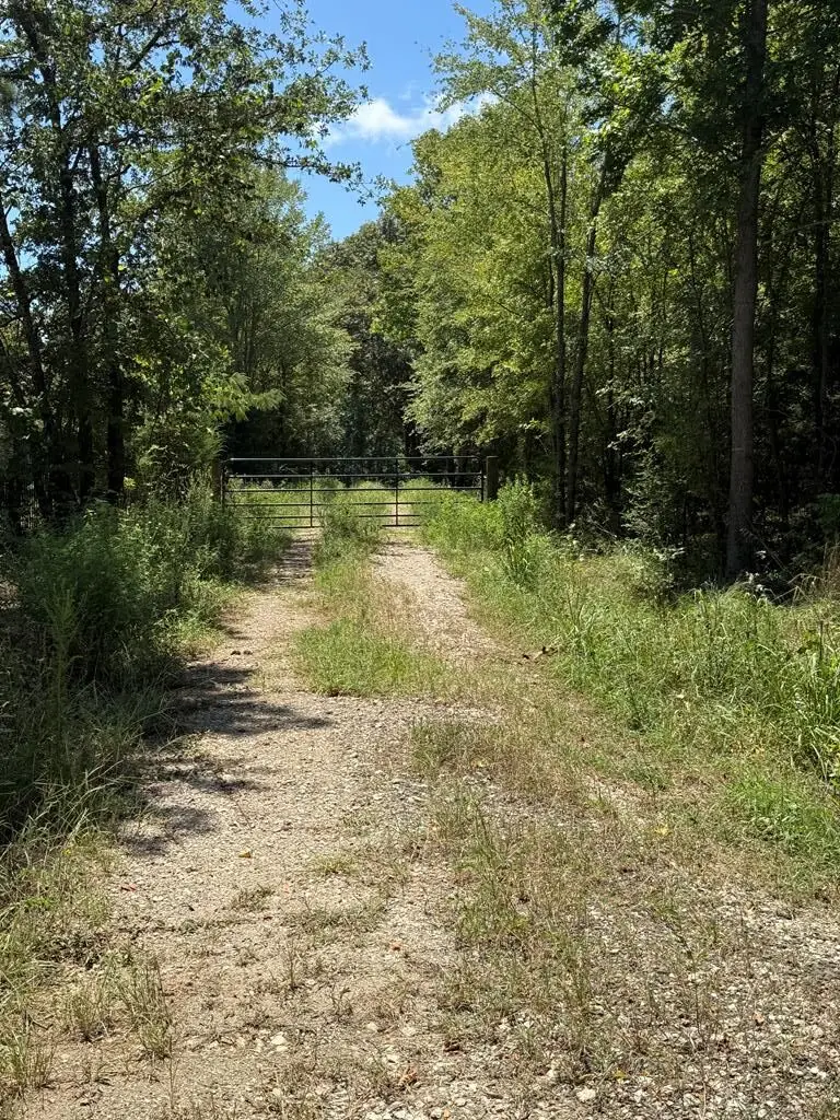 230 Old North Church Road, Nacogdoches, TX 76964 - #1
