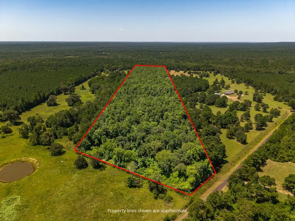 PID #13246 Fm 323, Elkhart, TX 75839 - #1