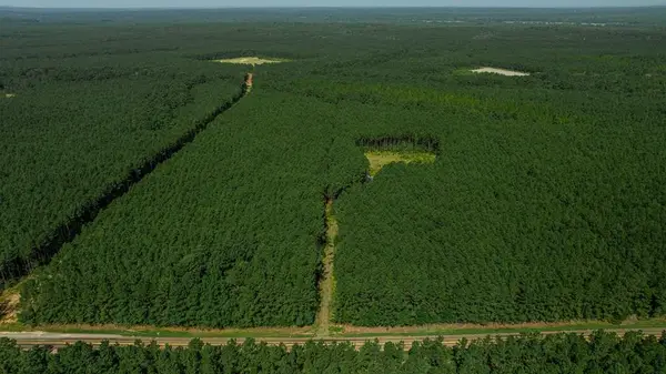 1150 Fm 1751, San Augustine, TX 75972