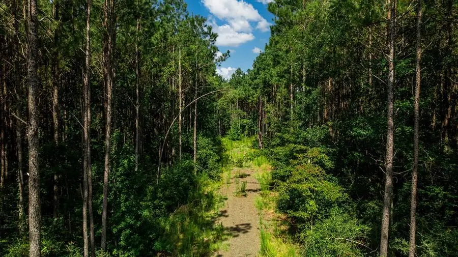1150 Fm 1751, San Augustine, TX 75972 - #2