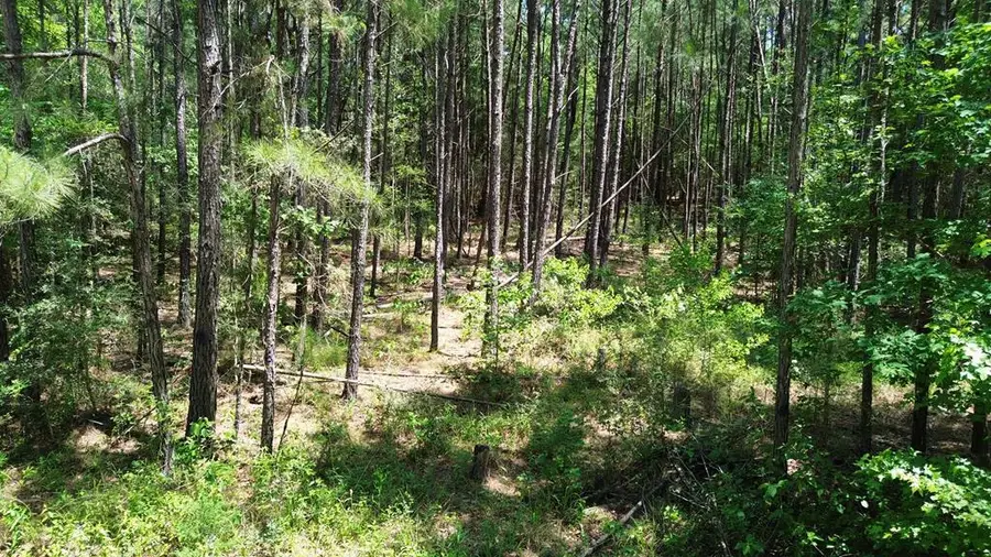 PARCEL#41620 Cr 4720, Kennard, TX 75847 - #2