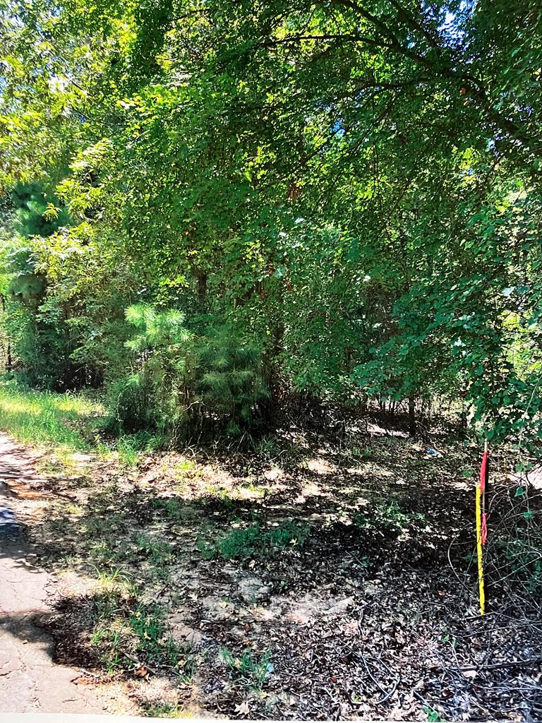 PID 1000016780 Cr 751, Nacogdoches, TX 75964 - #1