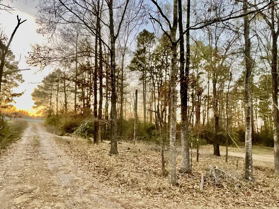 2232 N Medford Drive, Lufkin, TX 75901 - #3
