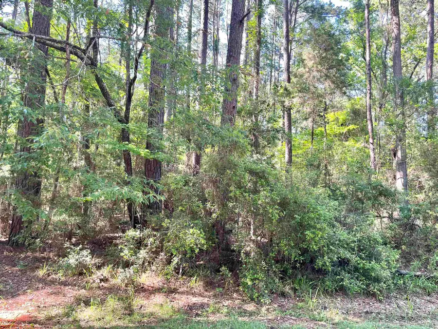 Lot 713 Starfish Dr., Hemphill, TX 75948 - #2