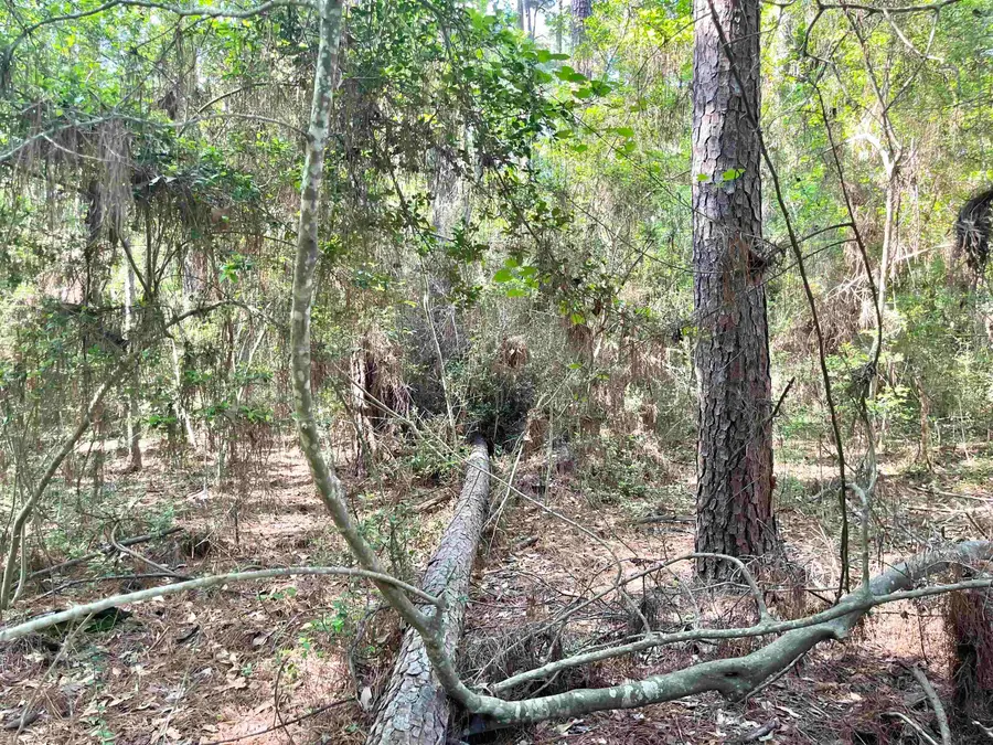 Lot 713 Starfish Dr., Hemphill, TX 75948 - #3