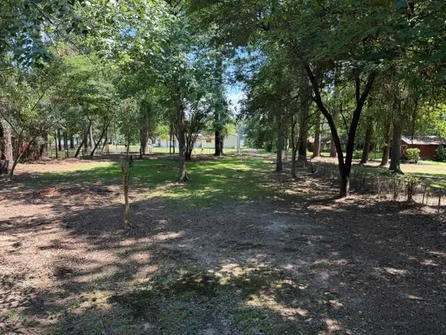 151 Briar Rose Fields, Milam, TX 75959 - #1