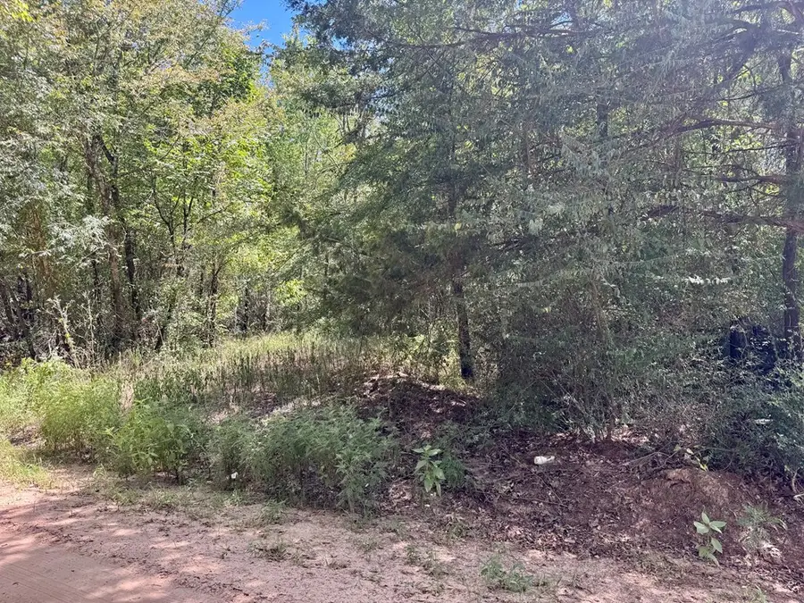 PARCEL#13270 Cr 4545, Kennard, TX 75847 - #2