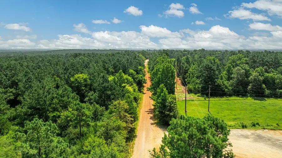 376 Cr 444, Chireno, TX 75937 - #3