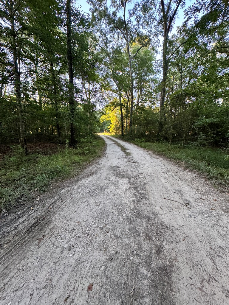 6842 Fm 2109, Huntington, TX 75949 - #2