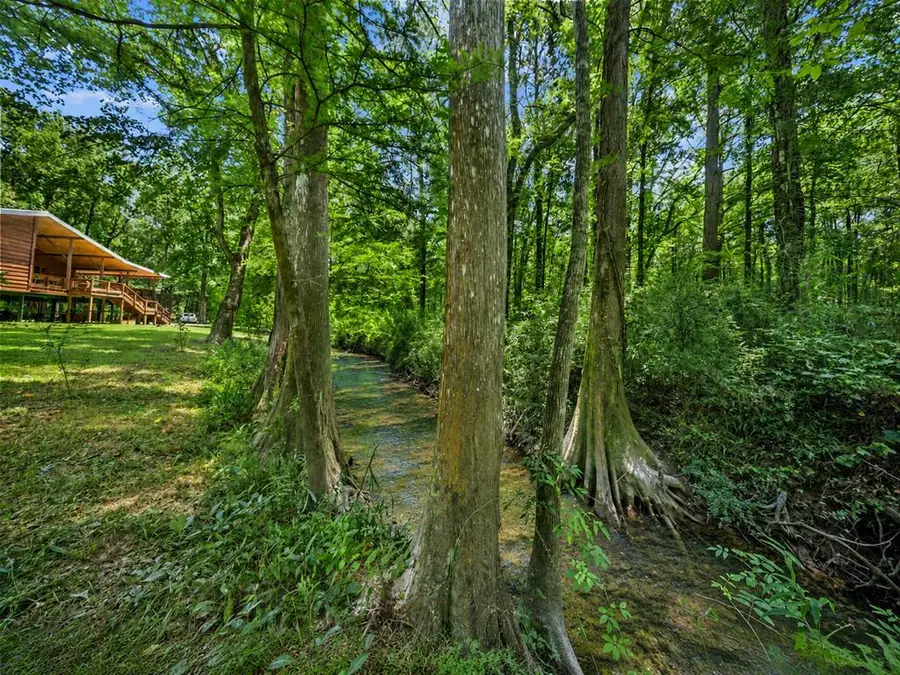 600 County Road 3650, Colmesneil, TX 75938 - #2