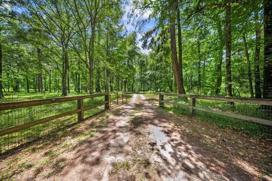 600 County Road 3650, Colmesneil, TX 75938 - #3