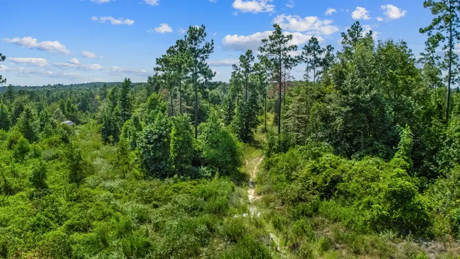 R142295 Jerry Vann Rd, Lufkin, TX 75901 - #2