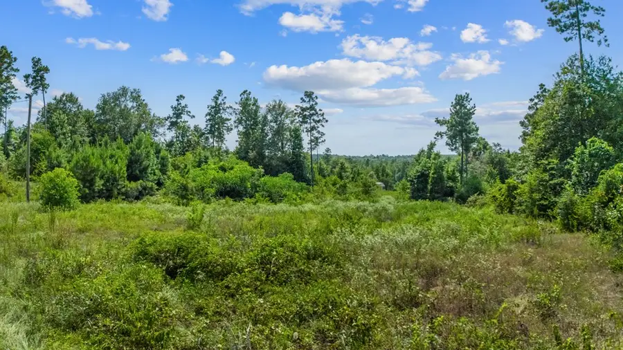 R142295 Jerry Vann Rd, Lufkin, TX 75901 - #3