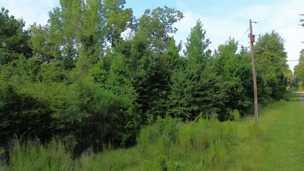 County road 520 Fm 1013 W, Kirbyville, TX 75956