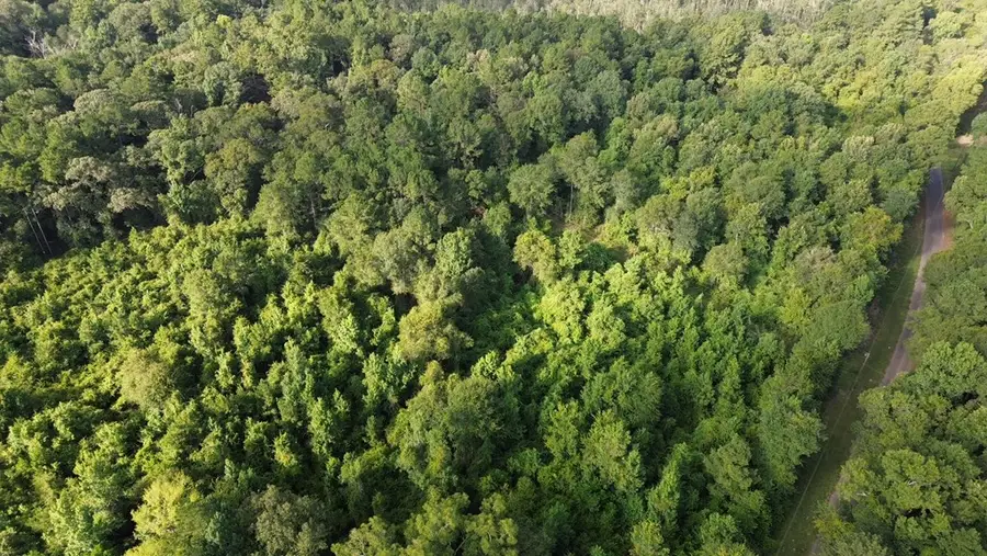 County road 520 Fm 1013 W, Kirbyville, TX 75956 - #3