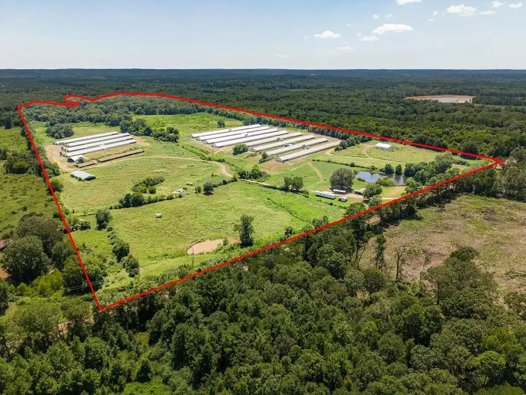 1286 Fm 2261, Shelbyville, TX 75973 - #1