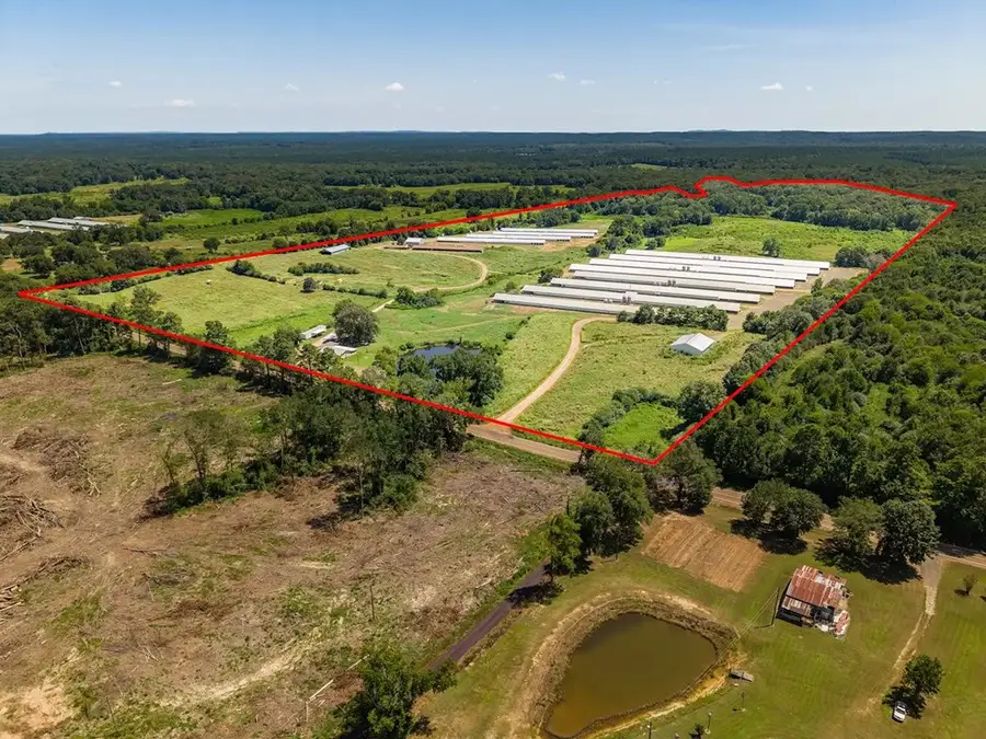 1286 Fm 2261, Shelbyville, TX 75973 - #3