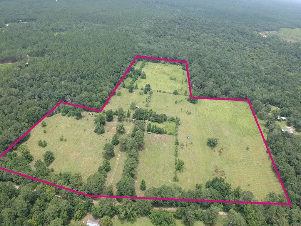 3882 Co Rd 4875, Warren, TX 77664 - #1