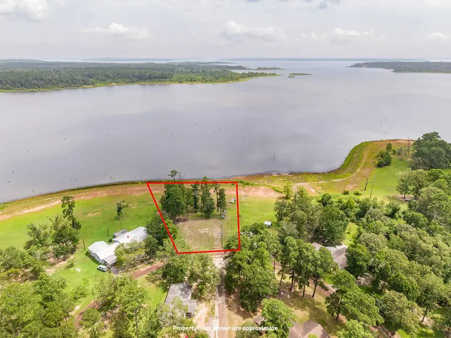 295 White Oak Drive, Zavalla, TX 75980 - #3