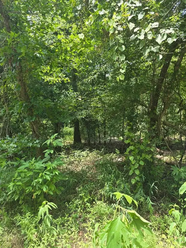 23646 Cr 4154, Orange, TX 77632