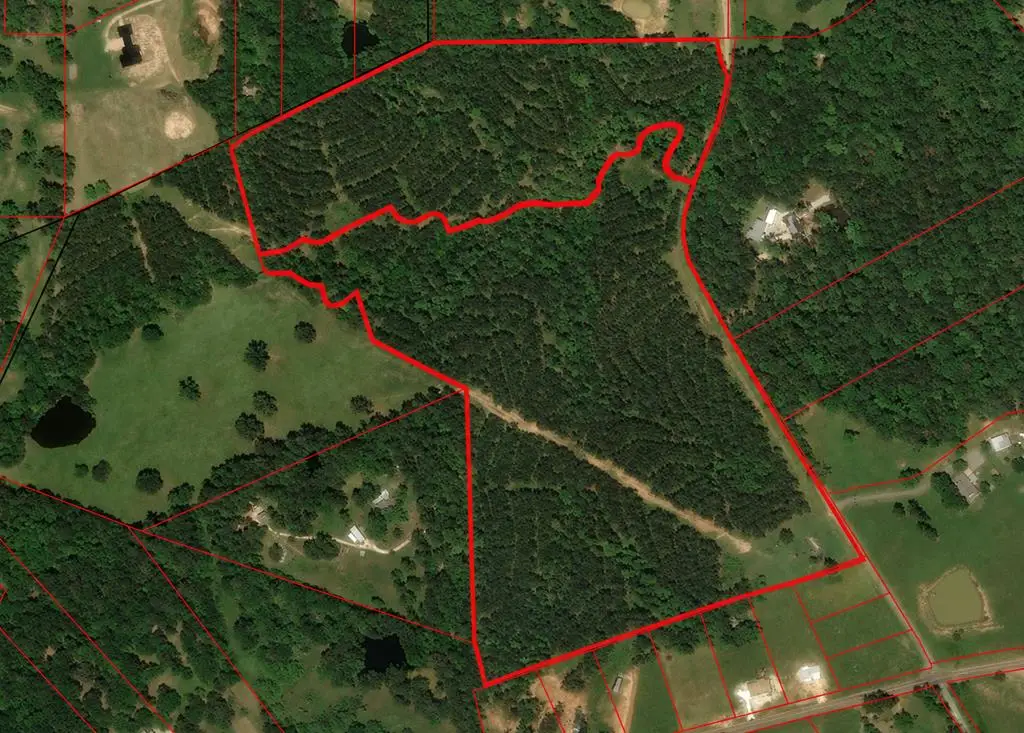 Tract 129/130 Fenley Flat Road, Pollok, TX 75969 - #1