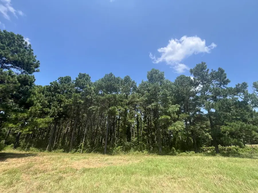 Tract 129/130 Fenley Flat Road, Pollok, TX 75969 - #2